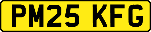 PM25KFG
