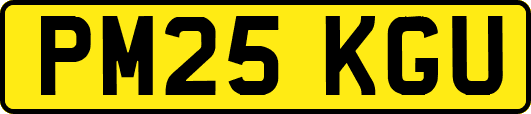 PM25KGU