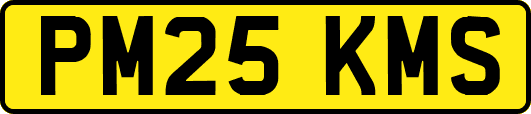 PM25KMS