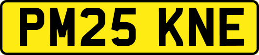 PM25KNE