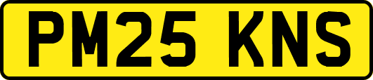 PM25KNS