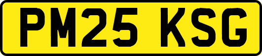 PM25KSG