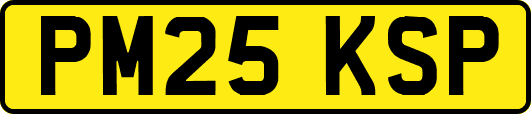 PM25KSP