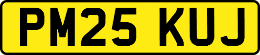 PM25KUJ