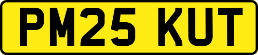 PM25KUT