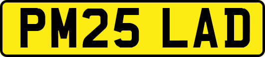 PM25LAD