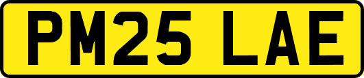 PM25LAE