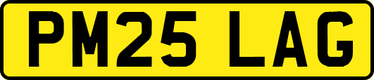 PM25LAG