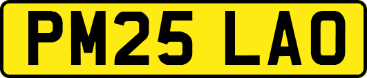 PM25LAO