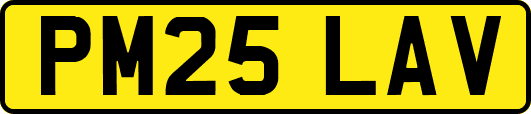 PM25LAV