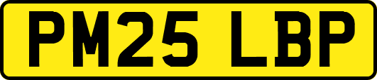 PM25LBP