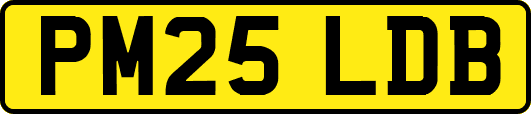 PM25LDB