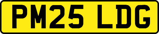 PM25LDG