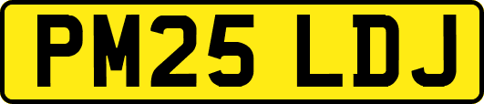 PM25LDJ