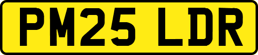 PM25LDR