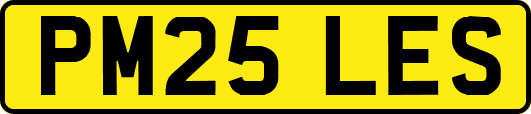 PM25LES