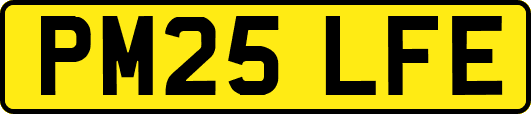 PM25LFE