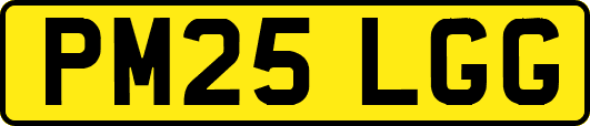 PM25LGG