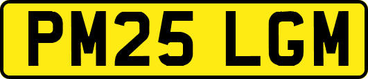 PM25LGM