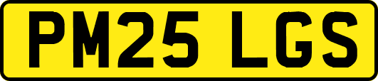PM25LGS