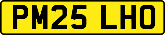 PM25LHO