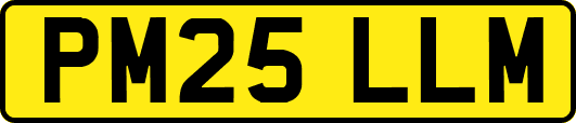 PM25LLM