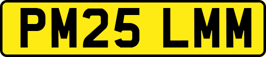 PM25LMM