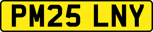PM25LNY