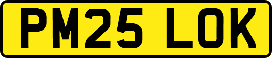 PM25LOK
