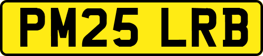 PM25LRB
