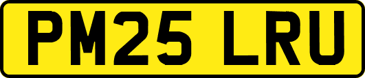 PM25LRU