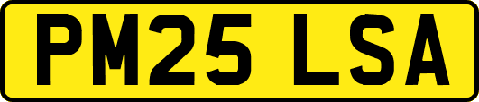 PM25LSA