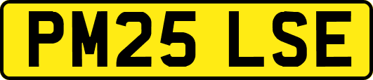 PM25LSE