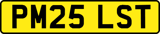 PM25LST