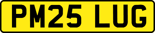 PM25LUG