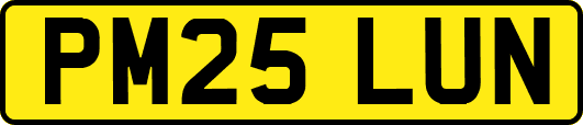 PM25LUN