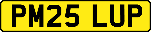 PM25LUP