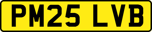 PM25LVB