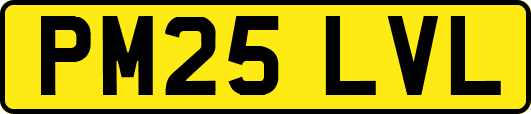 PM25LVL