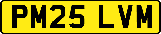 PM25LVM