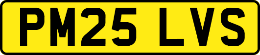 PM25LVS
