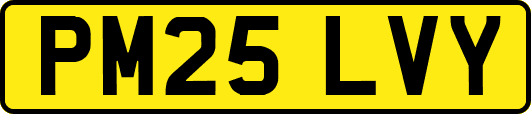 PM25LVY