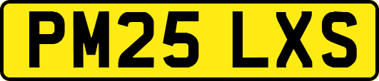 PM25LXS