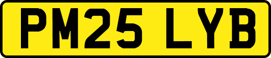 PM25LYB