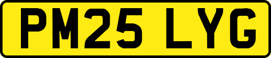 PM25LYG