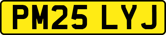 PM25LYJ