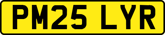 PM25LYR