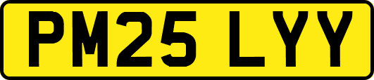 PM25LYY