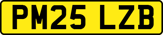 PM25LZB