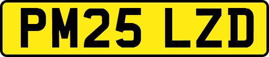 PM25LZD
